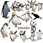 企鹅