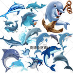 海豚