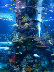 水族馆