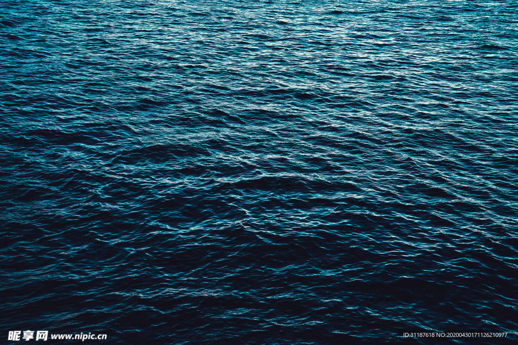 大海
