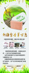 雪香草展架