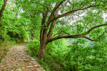 南黄古道