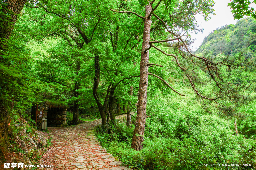 南黄古道
