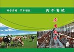 肉牛养殖技术封面