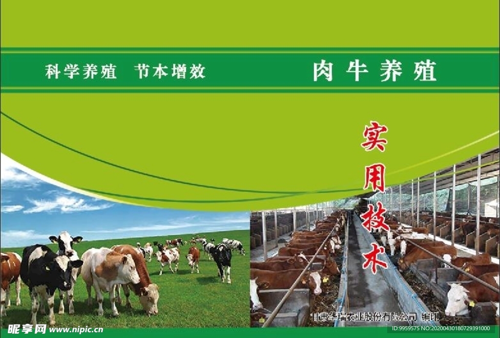 肉牛养殖技术封面