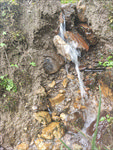 流水 小溪流