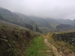 起雾的大山