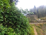 山村景色