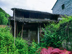 农村破房子
