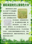 大米海报