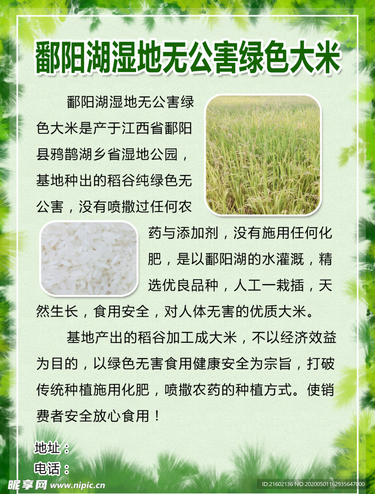 大米海报