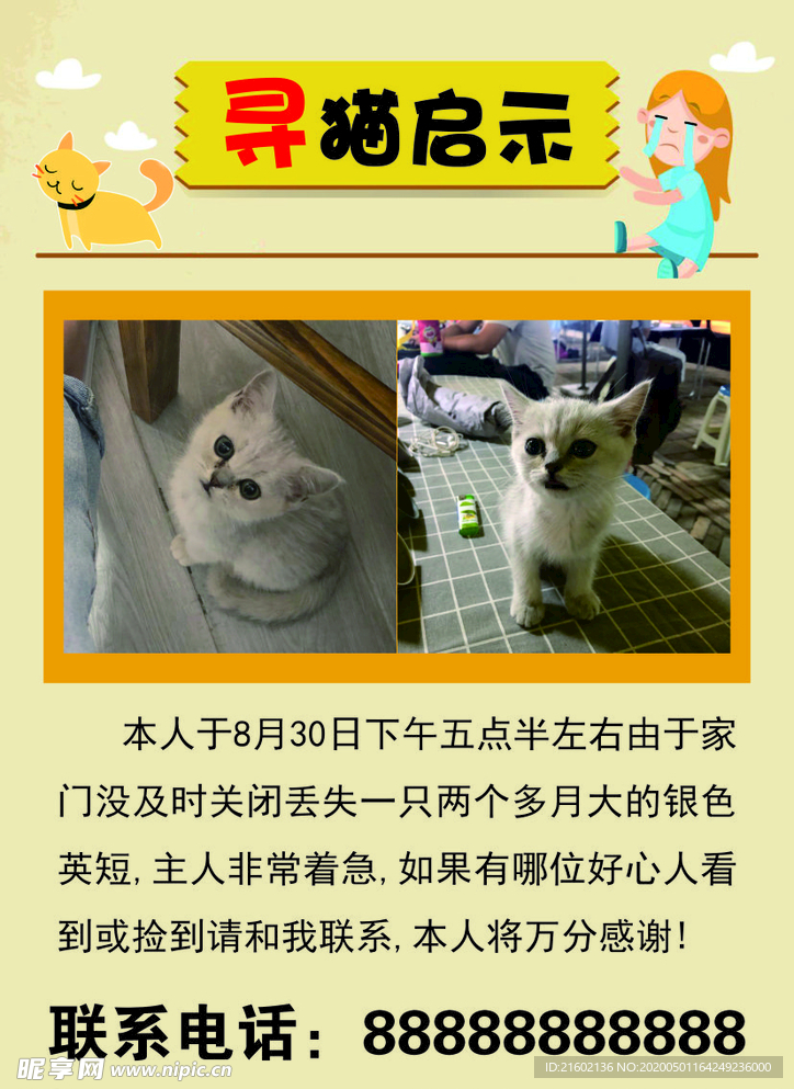 寻猫启事