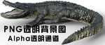 鳄鱼