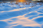粉雪