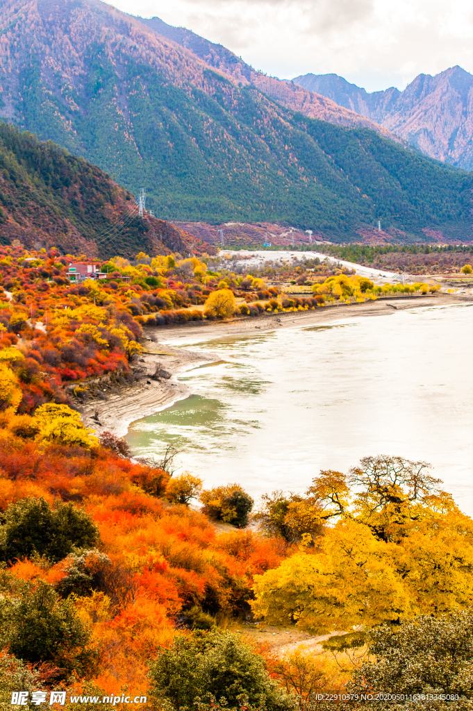 尼洋河湿地