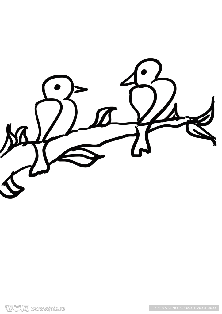 鸟
