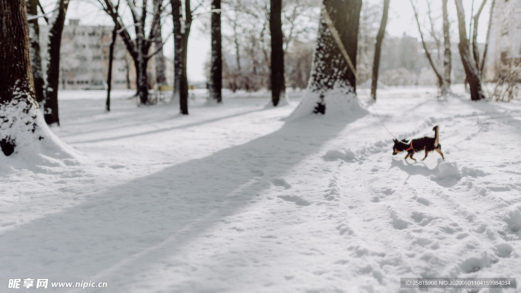 雪景公园雪景唯美图片