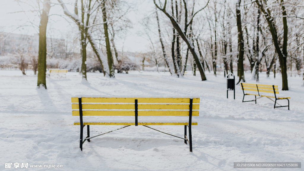 雪景公园雪景唯美图片