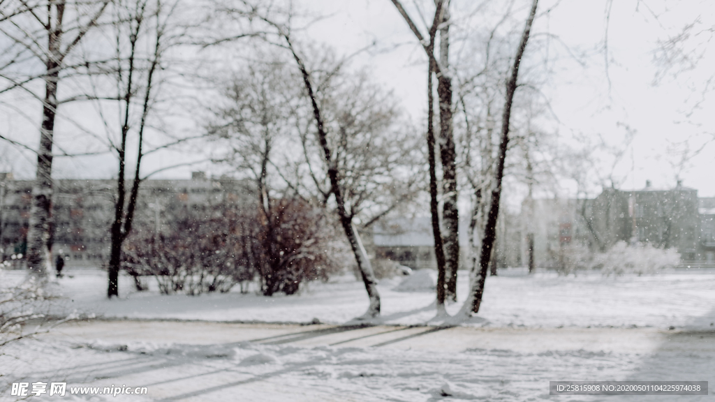 雪景公园雪景唯美图片