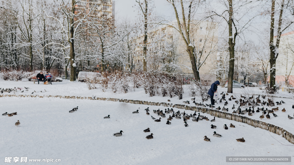 雪景公园雪景唯美图片