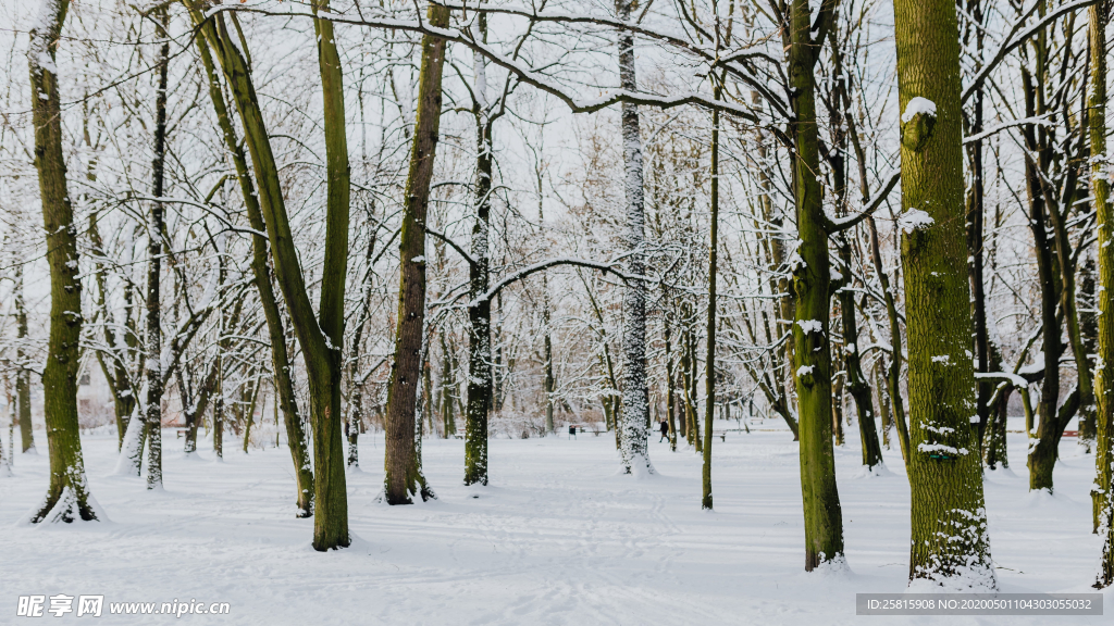 雪景公园雪景唯美图片