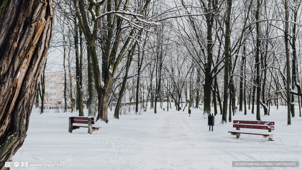 雪景公园雪景唯美图片