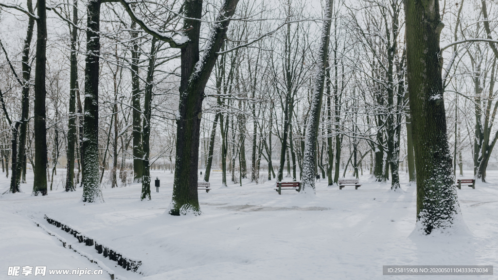 雪景公园雪景唯美图片