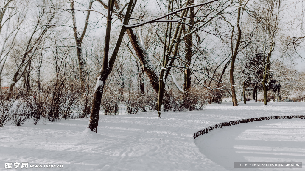 雪景公园雪景唯美图片