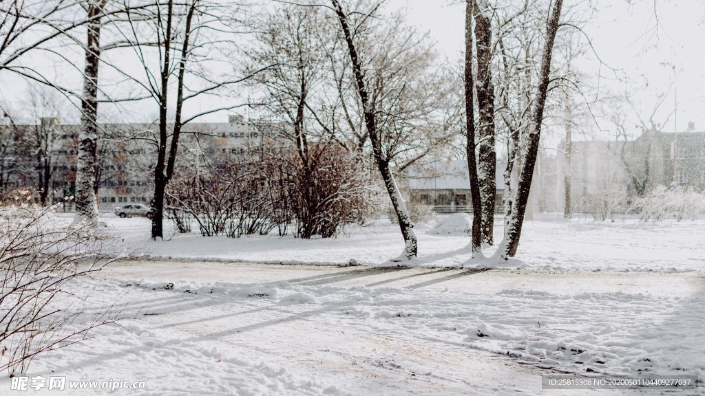 雪景公园雪景唯美图片