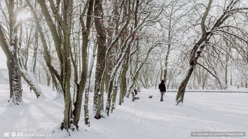 雪景公园雪景唯美图片