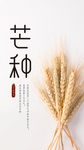 芒种海报