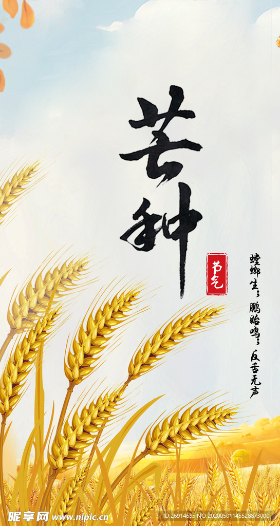 芒种海报