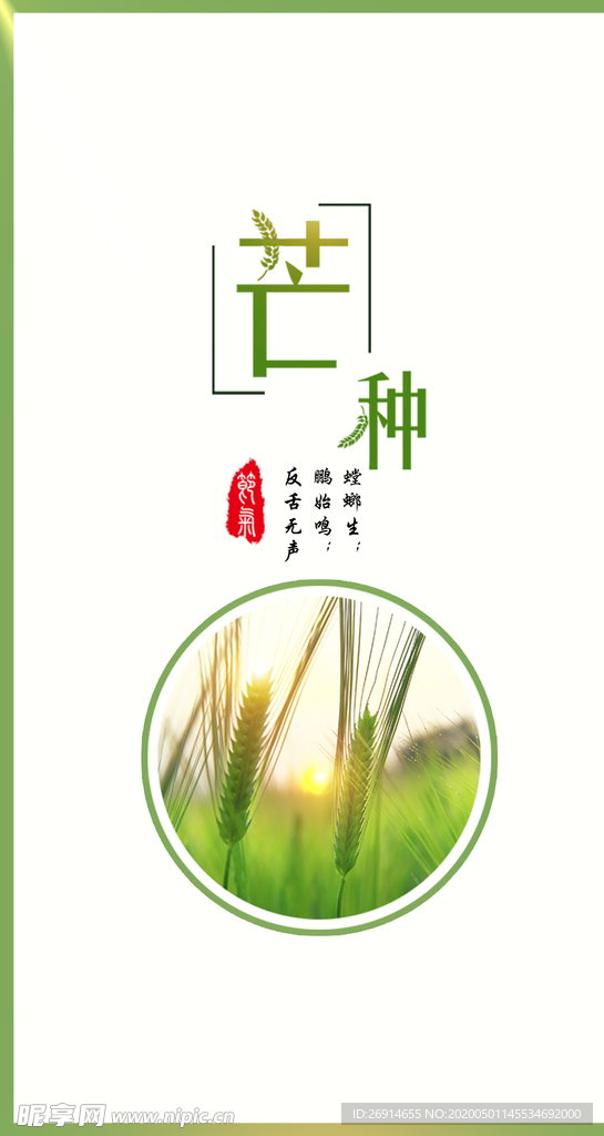 芒种海报