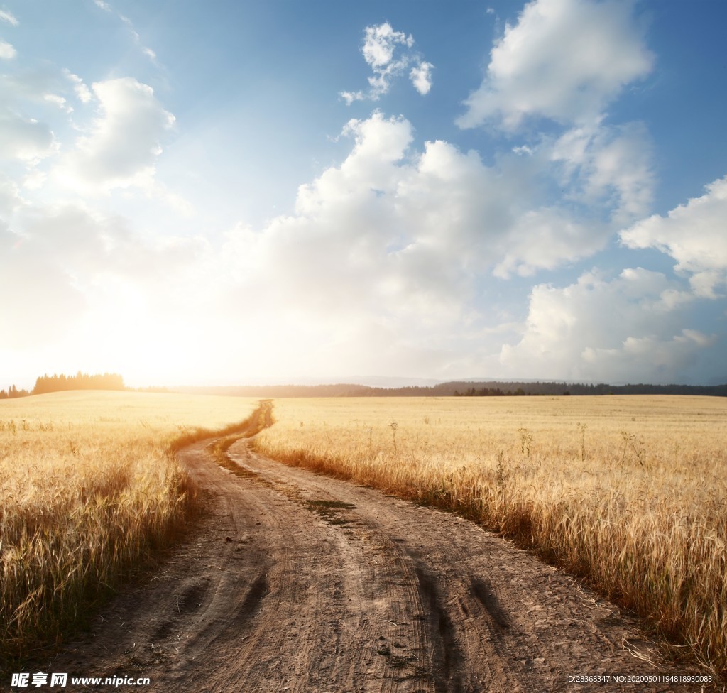 公路