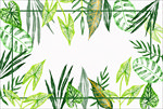 线条矢量手绘花草植物