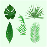 线条矢量手绘花草植物