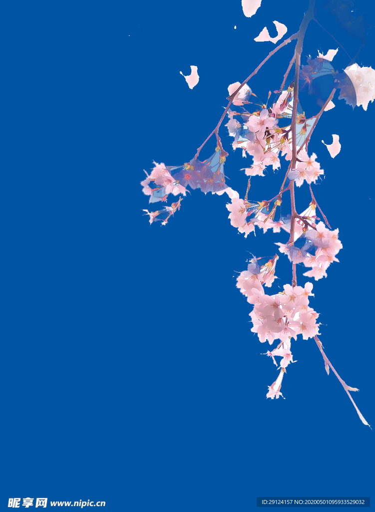 桃花
