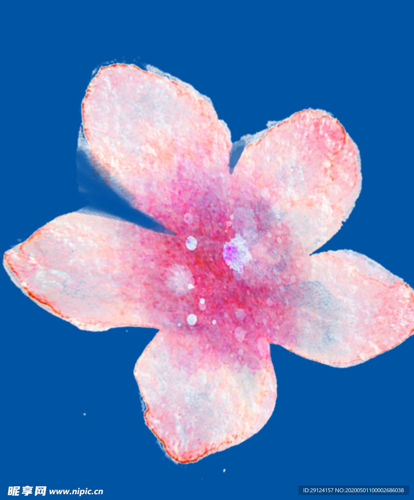 桃花
