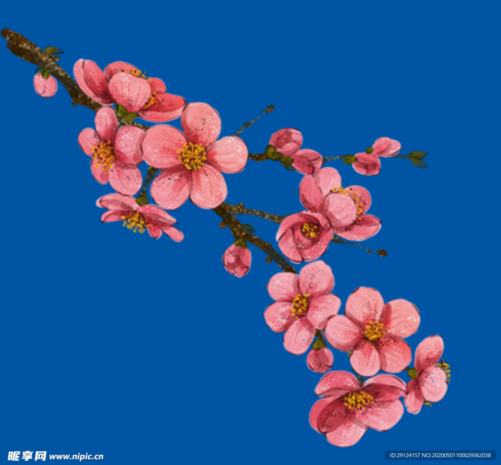 桃花