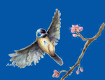 桃花