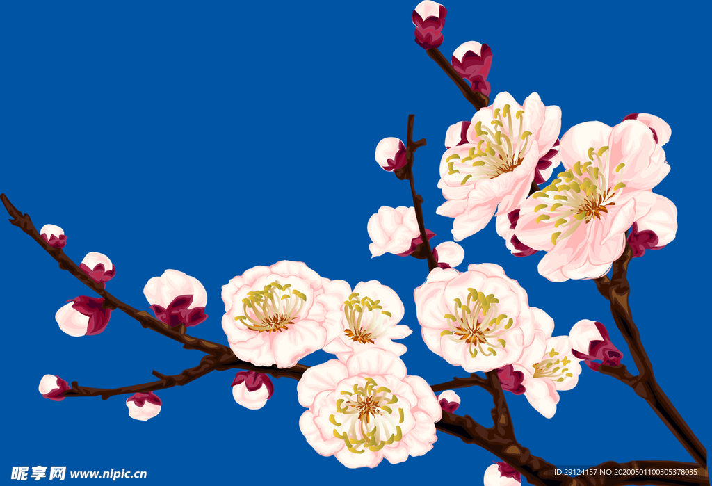 桃花