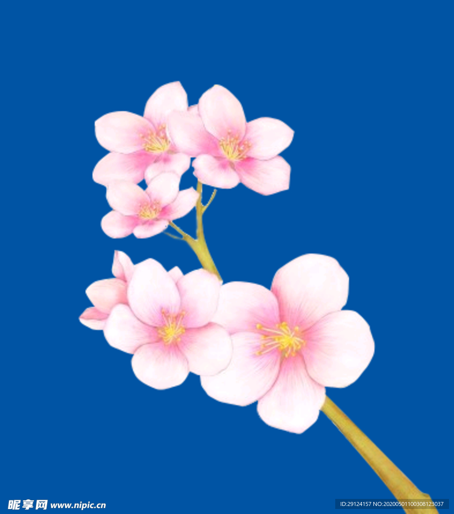 桃花