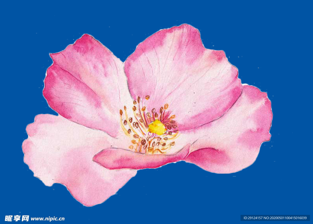 桃花