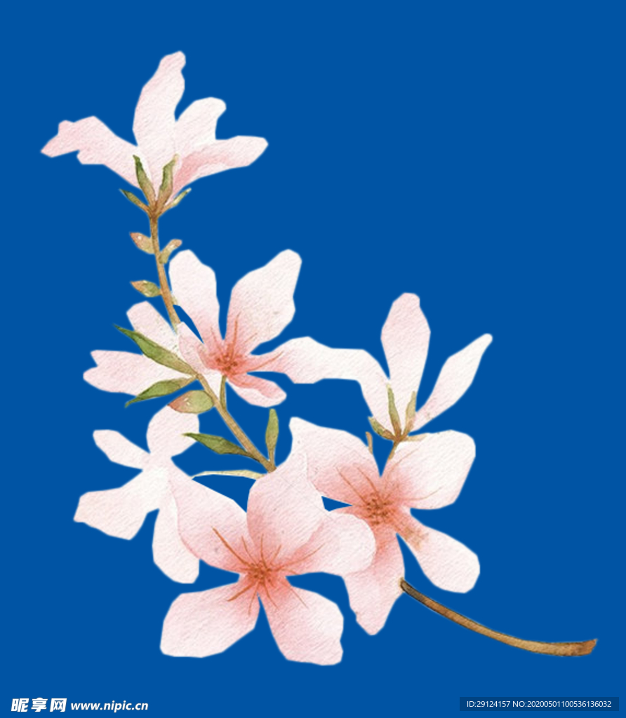 桃花