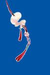 簪子