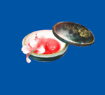簪子