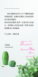 唯美便签 唯美底图 矢量唯美便
