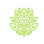 绿色标志