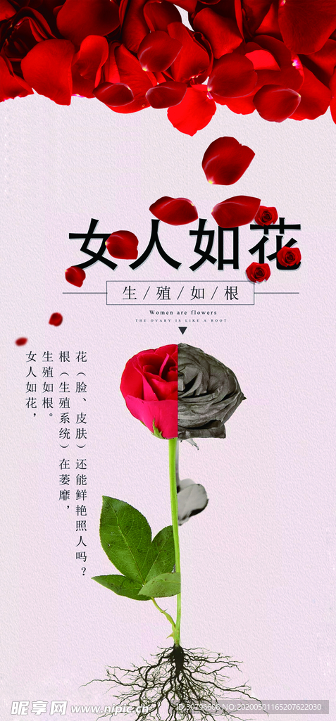 女人如花