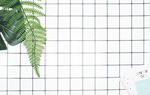 格子植物背景